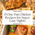 15 one pan chicken recipes 2026 07 24 133007 512x1024 1