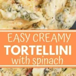 creamy tortellini recipe her highness hungry me 2026 07 21 131711 444x1024 2