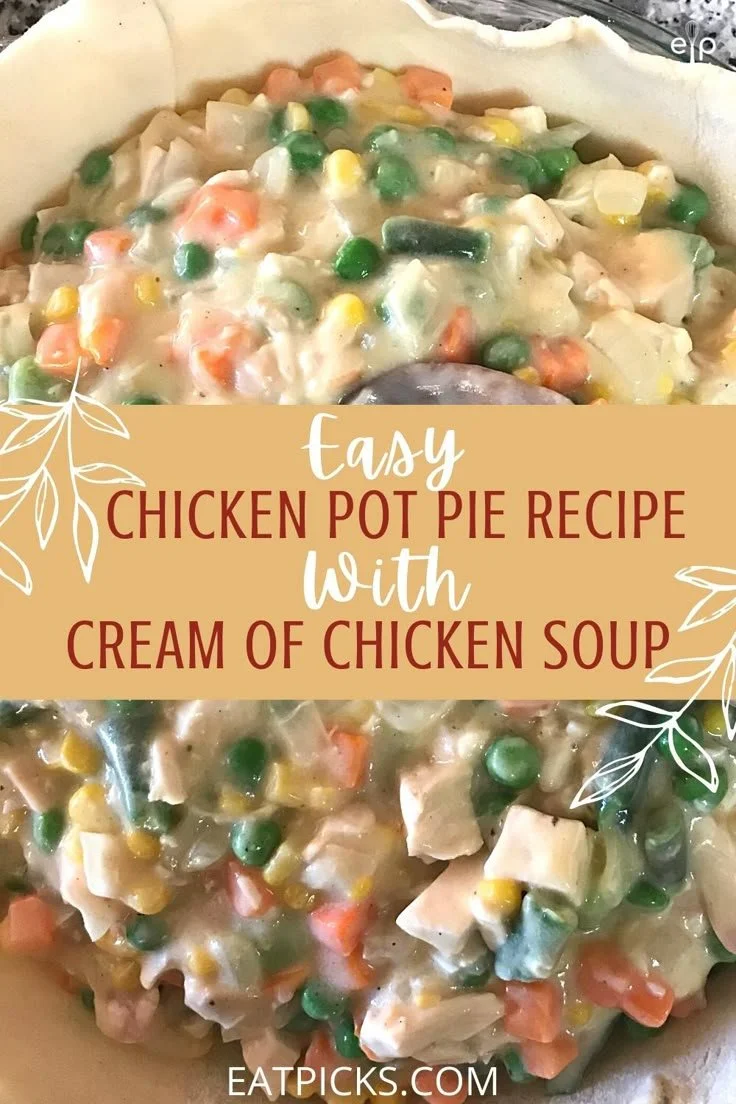 Delicious easy chicken pot pie ready to serve for dinner