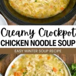 easy crockpot creamy chicken noodle soup recipe 2026 07 21 131715 512x1024 1