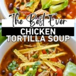 the best chicken tortilla soup recipe 2026 07 21 131714 512x1024 2