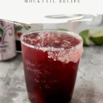 vampires kiss mocktail recipe 2026 07 21 131642 683x1024 1